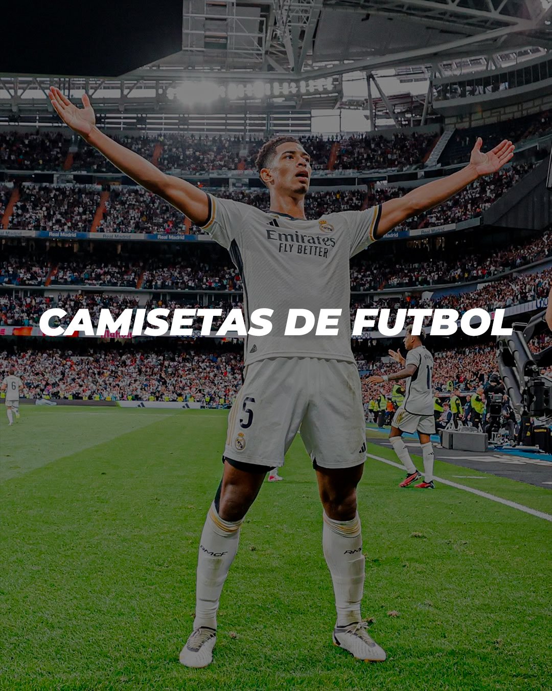FONDO-1-1