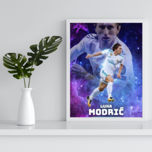 Modric - Cuadro